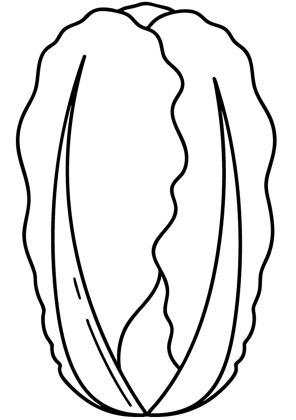 Nappa Cabbage icon